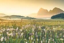 麻豆国产AV美丽班主任-麻豆国产AV，展现教育领域的独特风情